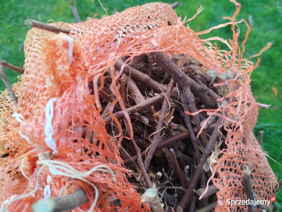 Zrębki gałęzie do palenia na podpałkę do Pozostałe Sieklówka