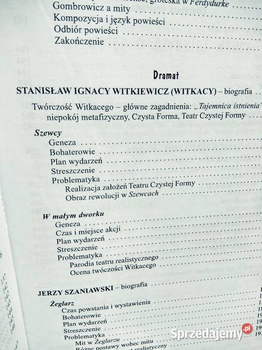 Dwudziestolecie międzywojenne 6 literatura mazowieckie Warszawa