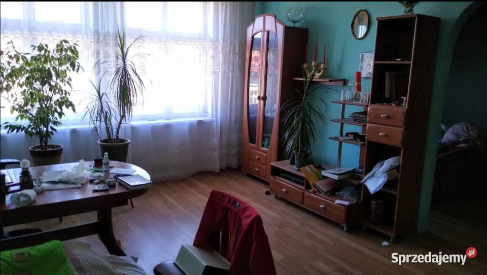 3pok 90met Rycerskiej PIWNICAKOMÓRKA Legnica dolnośląskie sprzedam