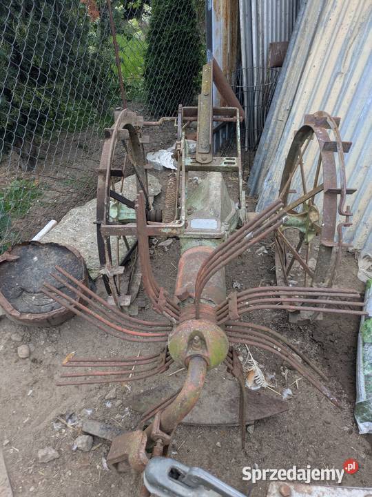 Kopaczka konna łódzkie Radomsko