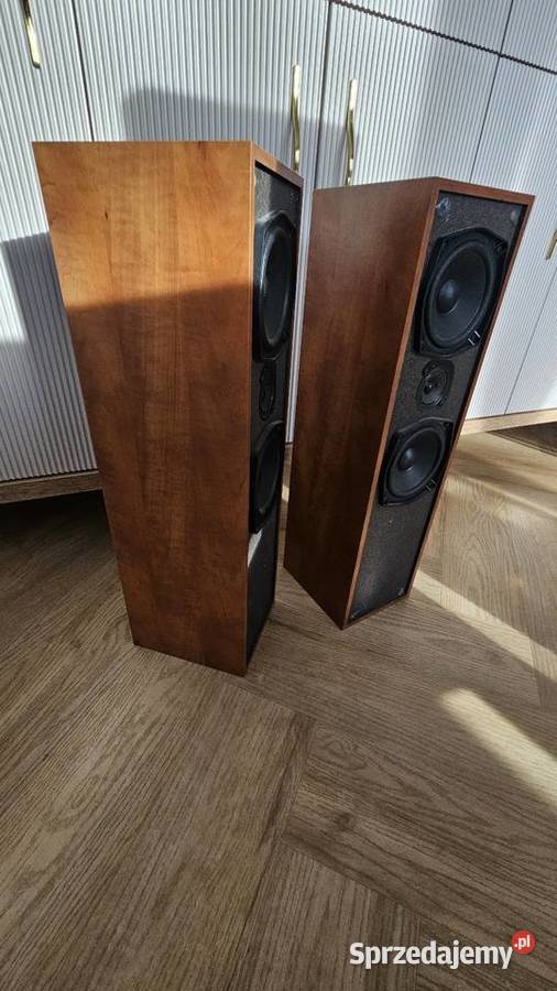 Głośniki podłogowe kolumny Pioneer SH210V Trzebisławki