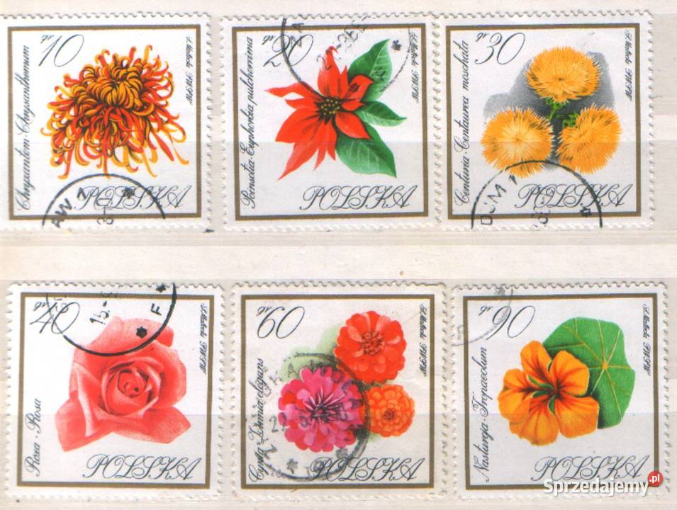 Zn Fi 1515 26 31 412 46 8 53 kas 1966 Gliwice sprzedam