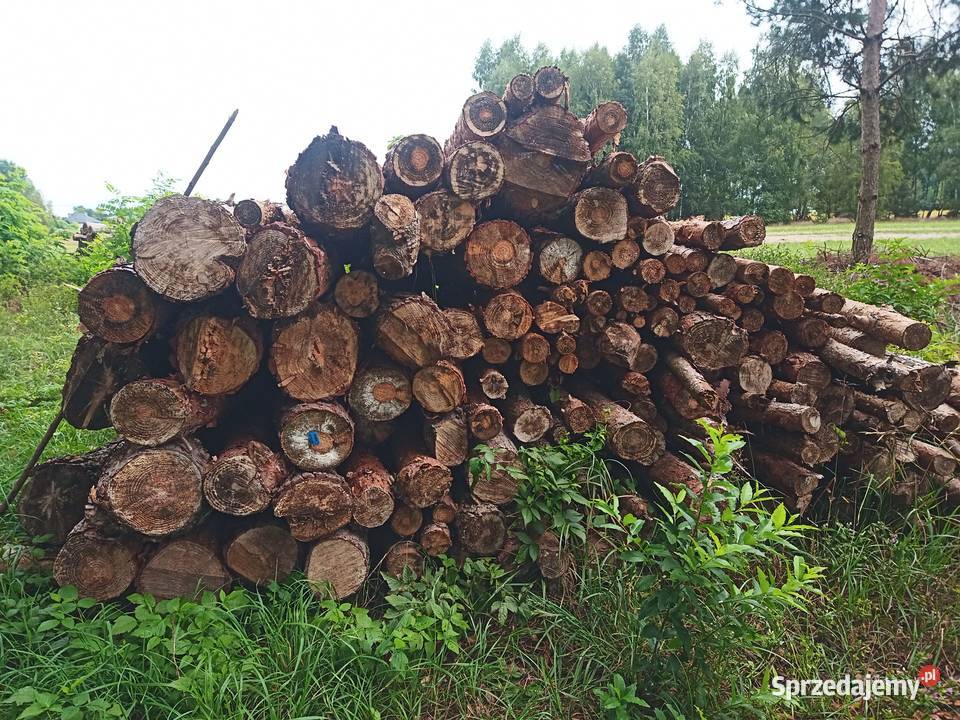 Brzoza sosna akacja wałki drewno suche m3 Wągrodno sprzedam