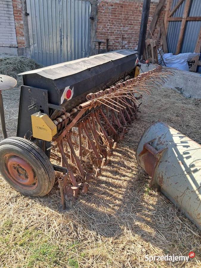 Poznaniak nieuszkodzony Klonownica Mała