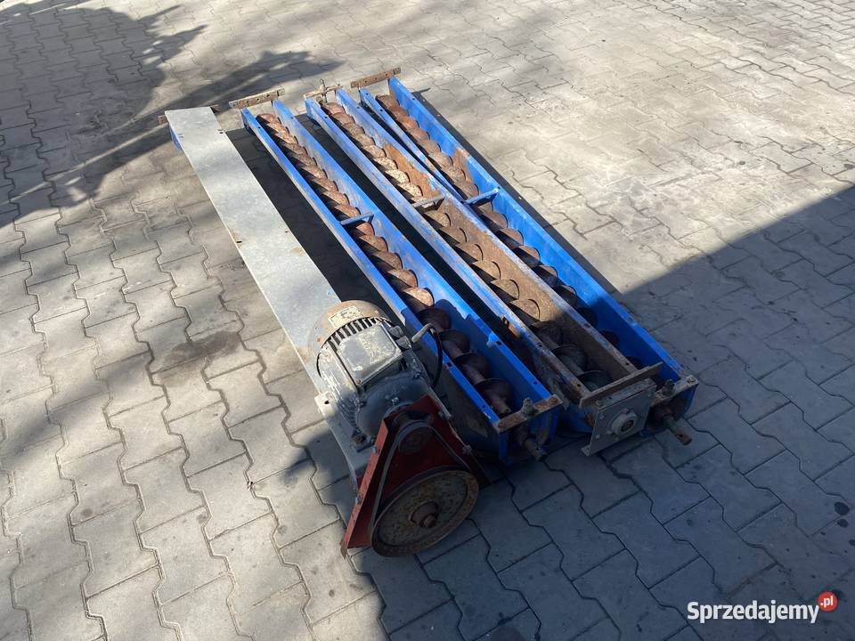 Żmijka korytowa Kongskilde 8m