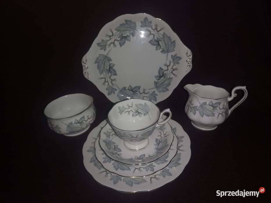 Filiżanka Silver Maple Royal Albert Klon Porcelana i szkło pomorskie Gdańsk