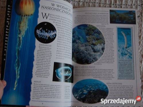 W głębinach oceanu Paul Bennett Białystok