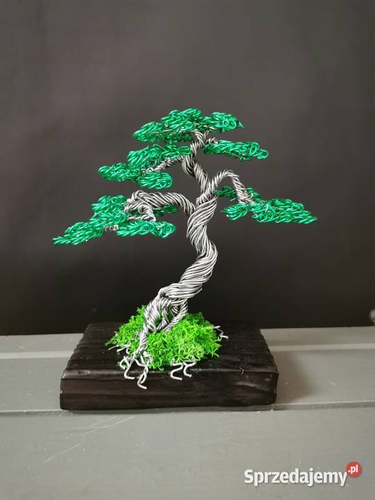 Zielone drzewko z chrobotkiem 13 Bolesławiec