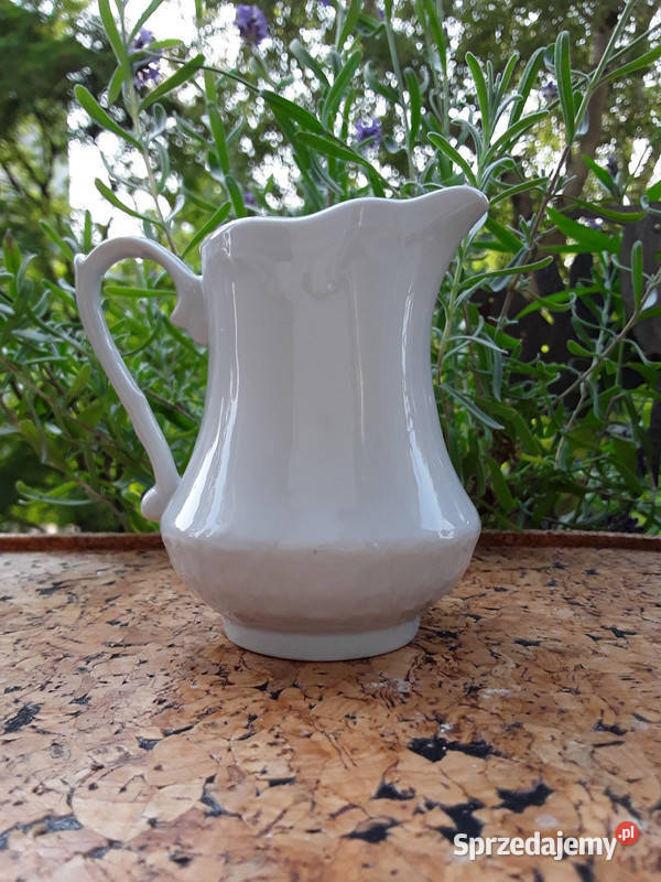 Mlecznik porcelanowy Włocławek biały Warszawa