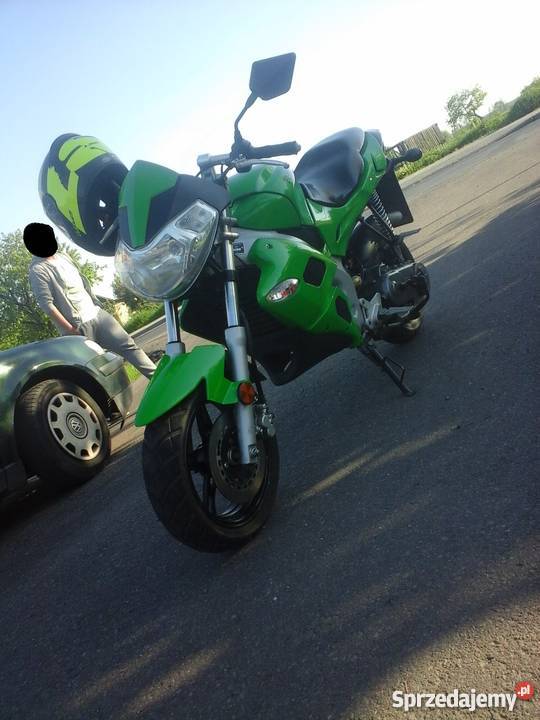 Kingway Fennari Gąsiory sprzedam