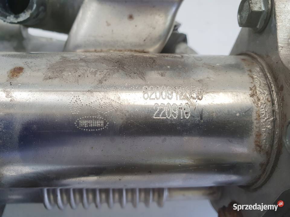 Renault Megane III 15 DCI CHŁODNICA SPALIN egr Chełm