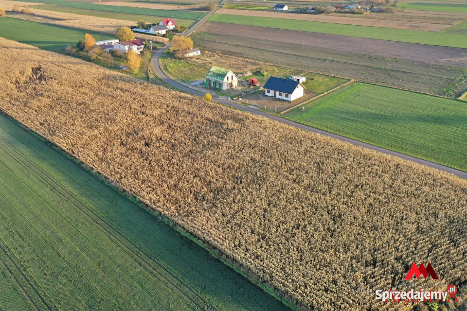 Działka Lubanie 6427m2