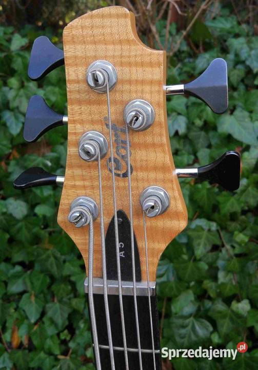 Gitara basowa Cort A5 aktywna Korea Ilość strun 5 Tuszyn