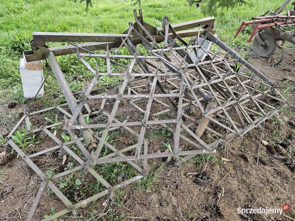 brony łańcuchowozębate Brony