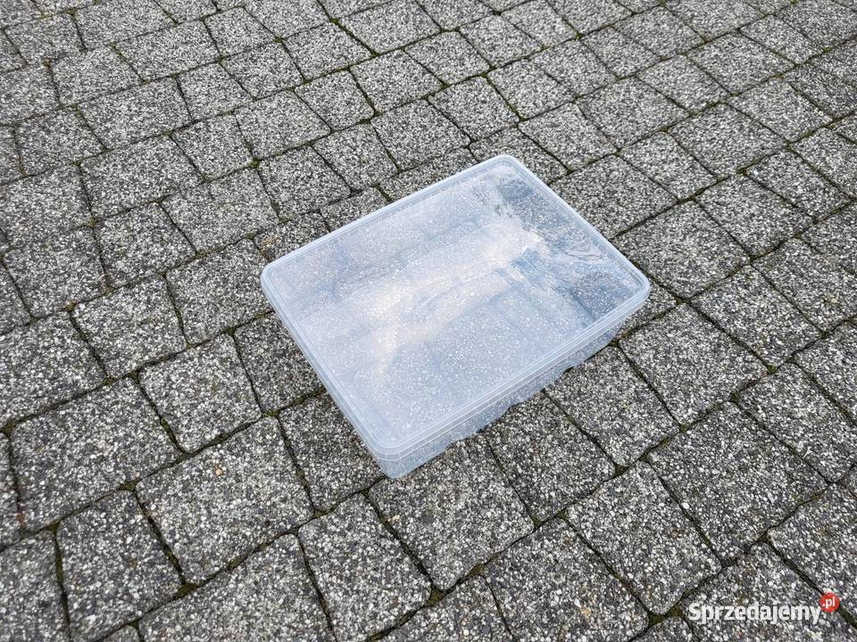 Pojemniki hodowlane ptasznika skorpiona