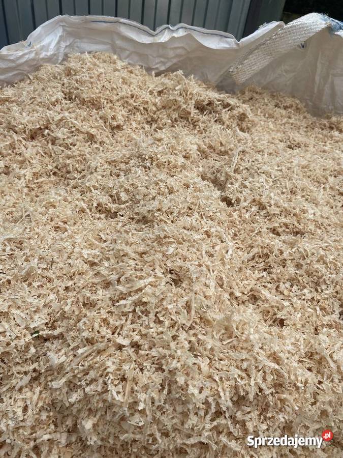 Wiory jodłowe Szerzyny