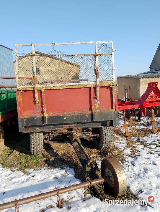 Rozrzutnik Mąkowarsko