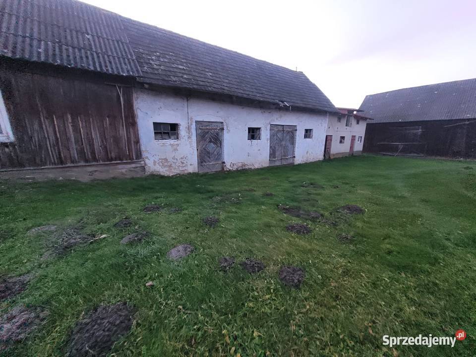 Wyjątkowe siedliskogospodarstwo liczne Sprzedaż Krery