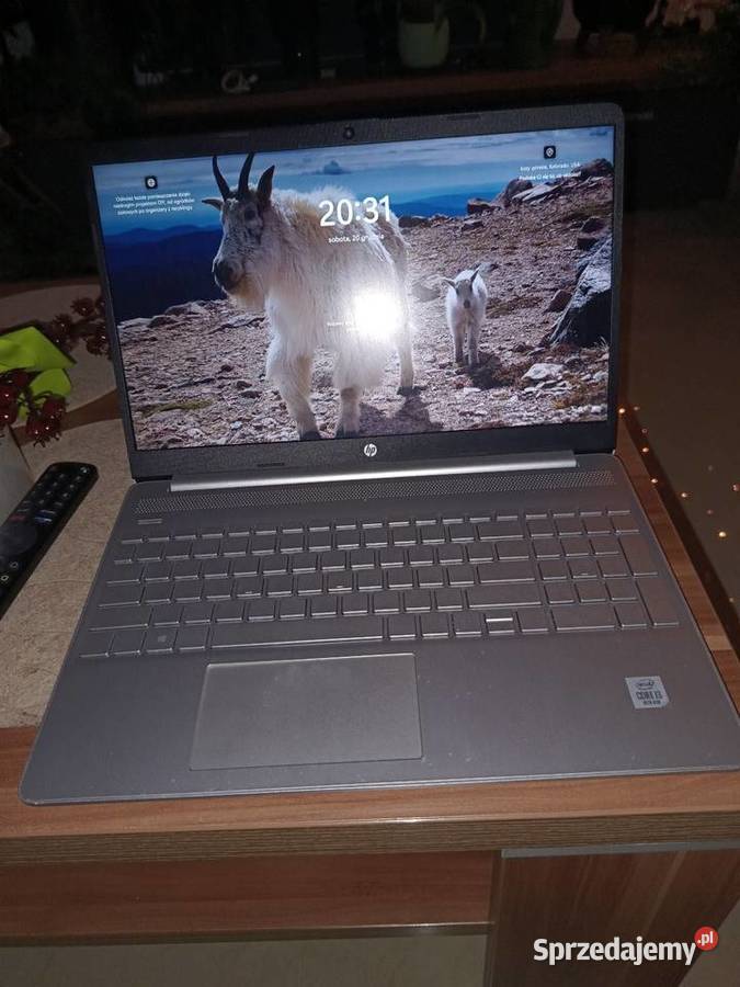 Laptop HP Zielona Góra sprzedam