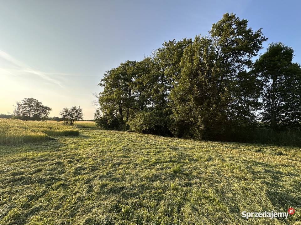 Działka z linią brzegową Pomianowo