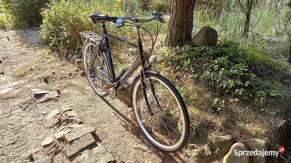 Alu Rower Miejski Męski Holender Batavus Jakima Wołów