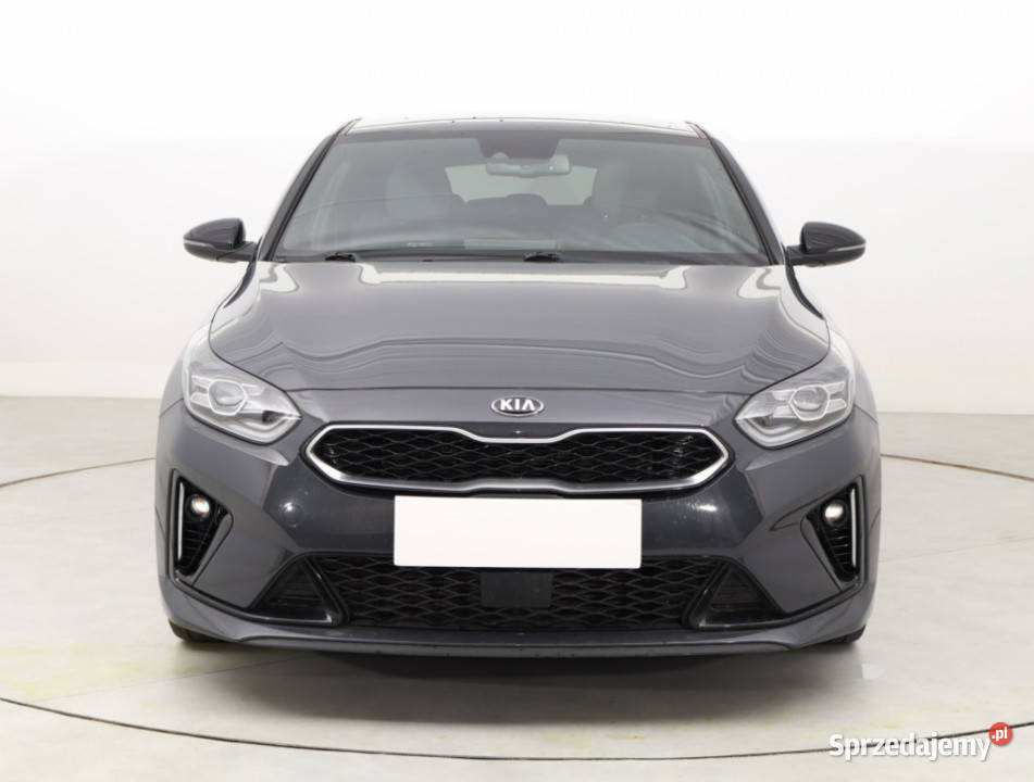 Kia ProCeed 14 TGDI skórzana tapicerka Bielany Wrocławskie