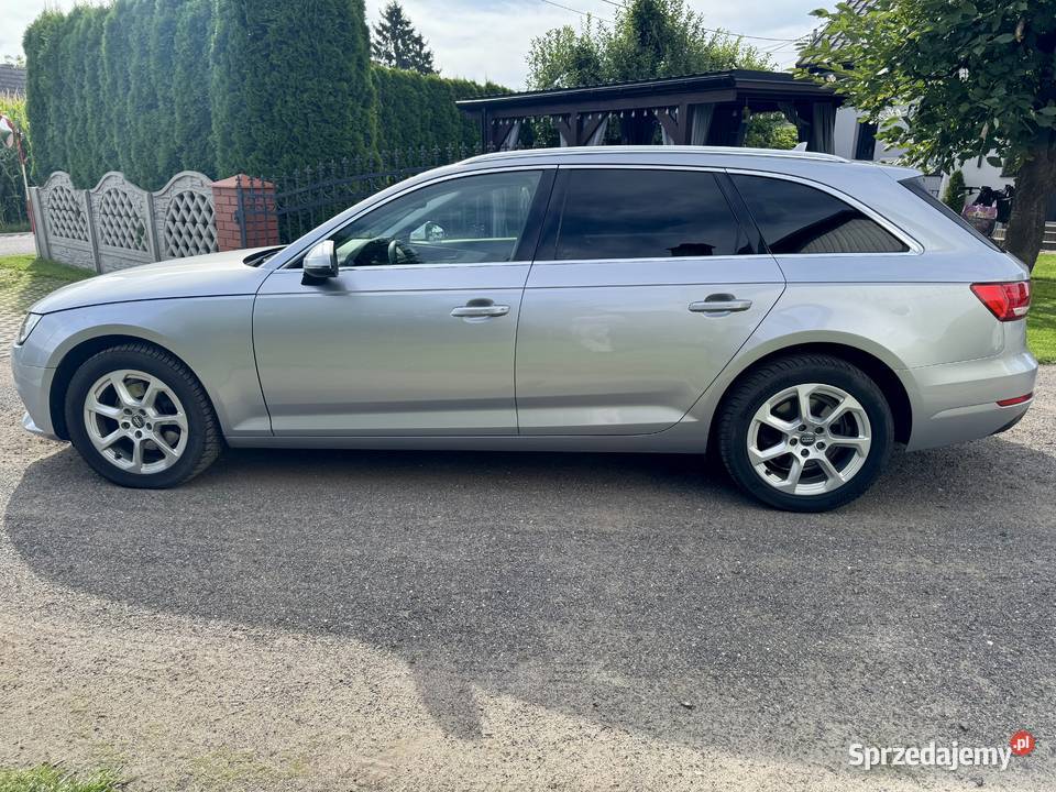 Audi A4 B9 Avant 20 TDI 150 manual Brudzew