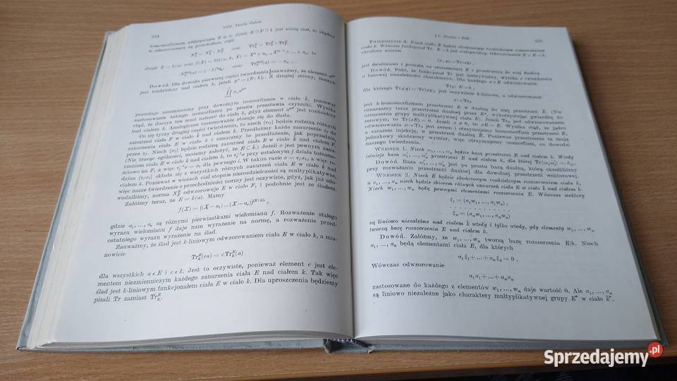 Algebra Serge Lang z angielskiego tł Ryszard Gdańsk