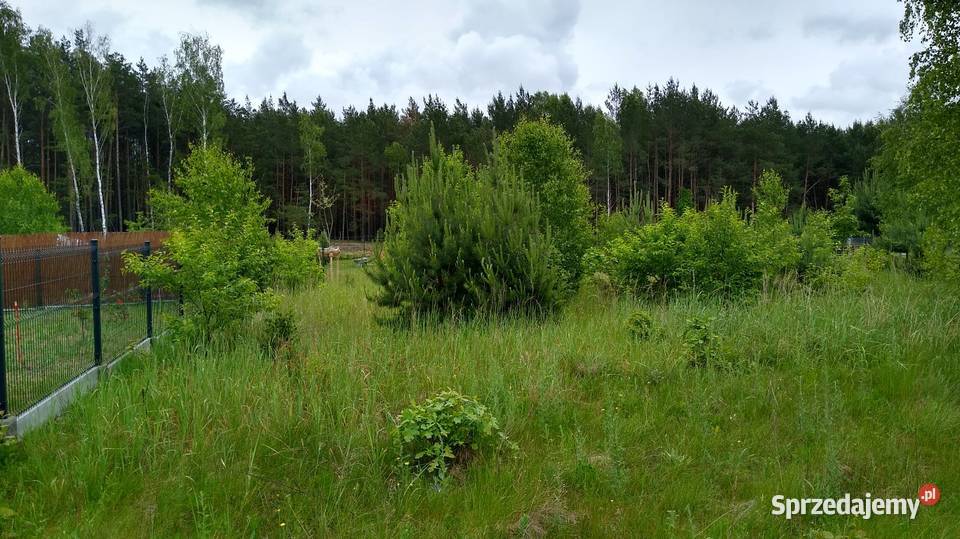Działka rekreacyjna sprzedam Nieruchomości Trzepnica