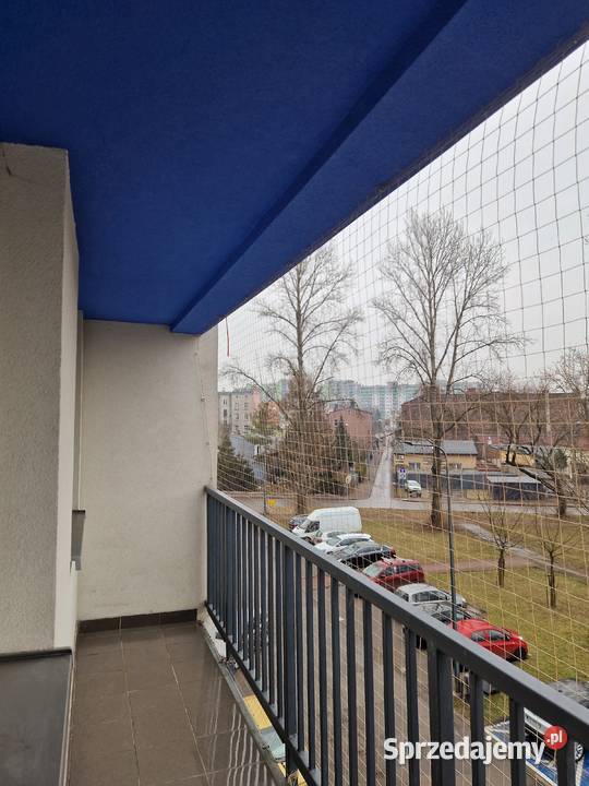 Montaż siatki kolców przeciw ptakom na balkonie śląskie Zabrze