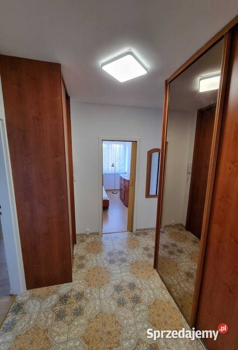 AKTUALNE Mieszkanie 495m2 Okrzei punktowiec 1 Bełchatów sprzedam
