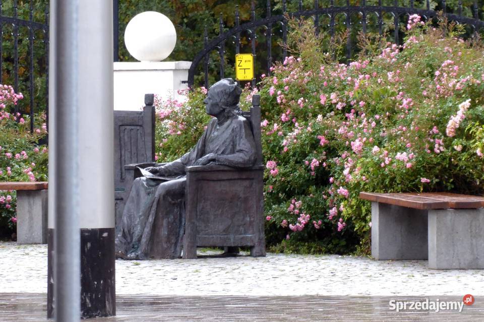 Panasonic Lumix DMCTZ70 30x opt12 łódzkie Pabianice