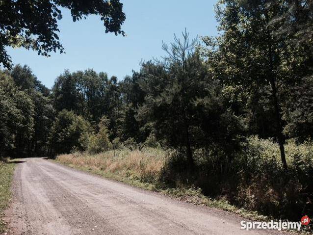 Działka 2200m2 obok lasu Chechło Drugie Chechło Drugie sprzedam
