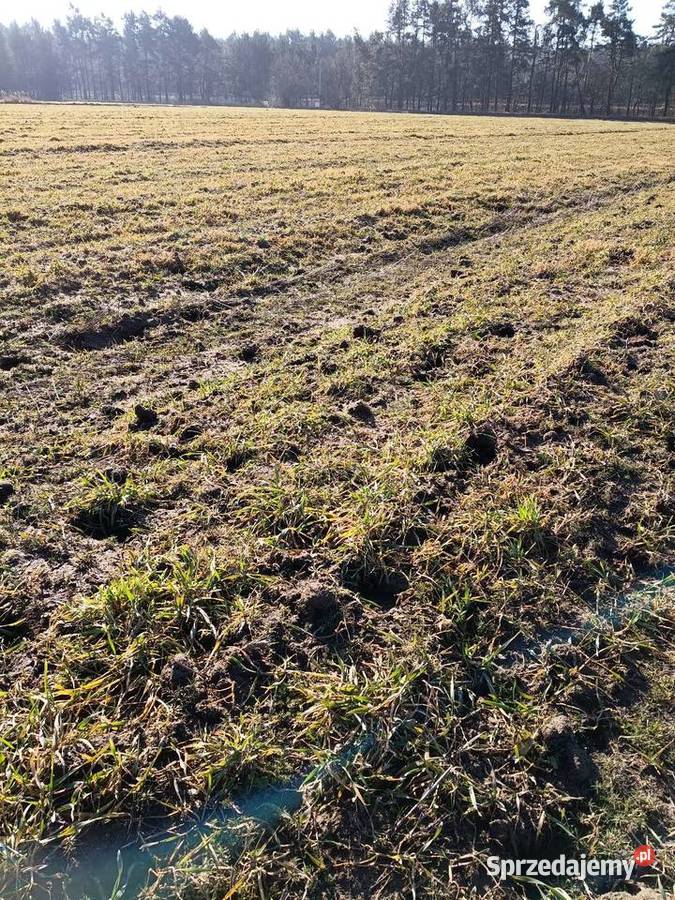 Działka rolna równa bez kamieni 264ha Sprzedaż śląskie Kroczyce