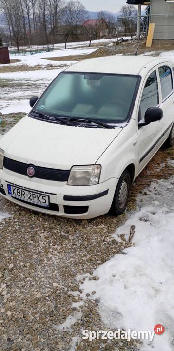 Sprzedam pande panda Panda Panda małopolskie Drużków Pusty