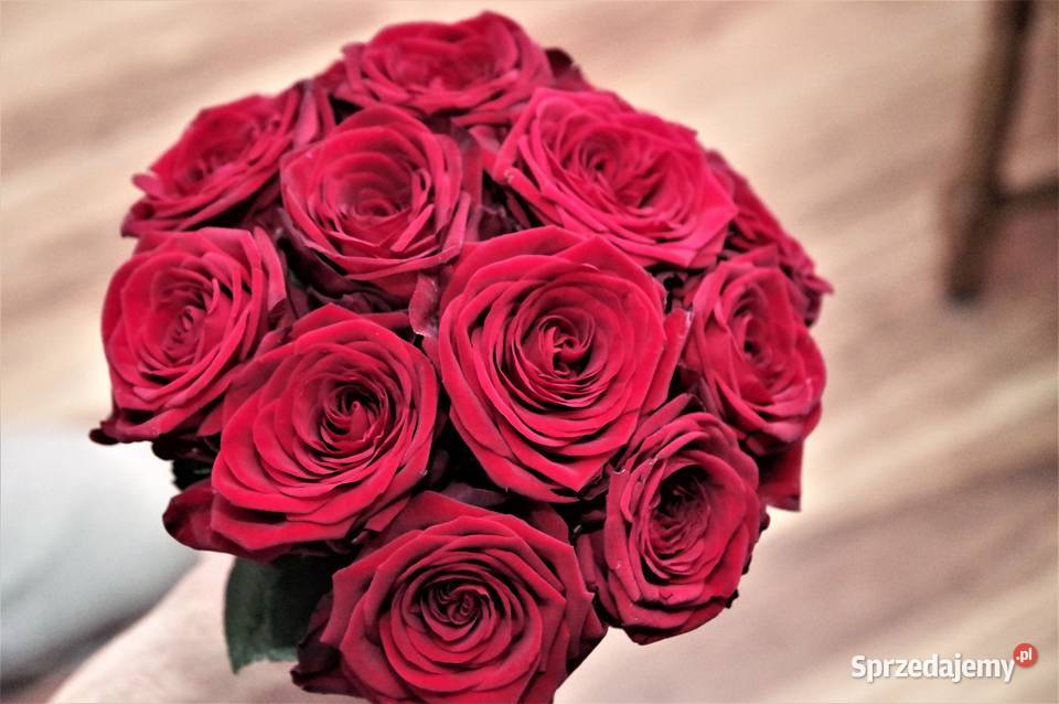 fotograf na ślub zdjęcia plenerowe kujawsko-pomorskie Grudziądz