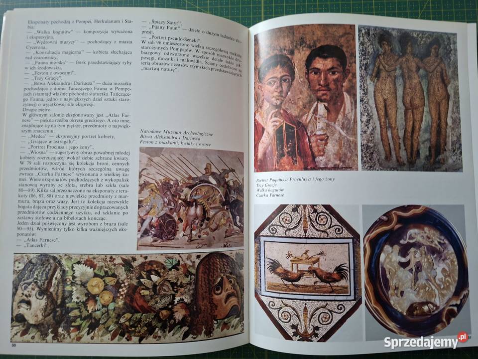 Neapol Capri Sorrento Ischia Loretta Santini Kraków sprzedam