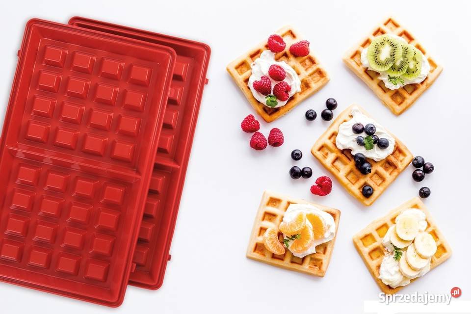 4w1 toster gofrownica grill panini GRILLFROSTER mazowieckie sprzedam