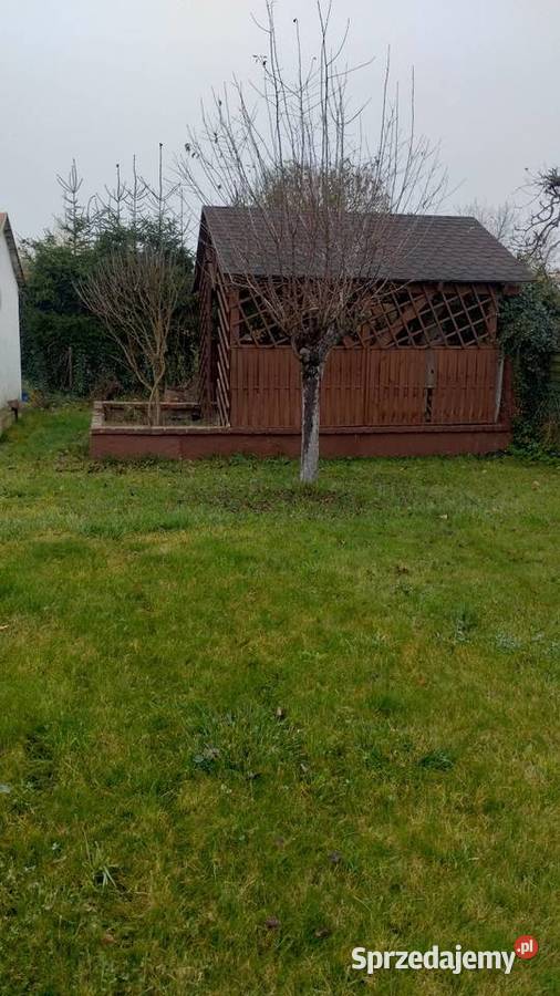 Działka RODPrzyszłość Sprzedaż Brzeg Dolny