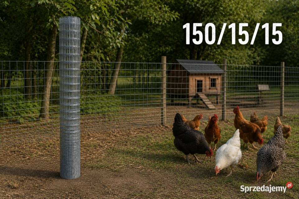 Siatka leśna ogrodzeniowa na kury 1501515 rolka Pozostałe małopolskie Tarnów