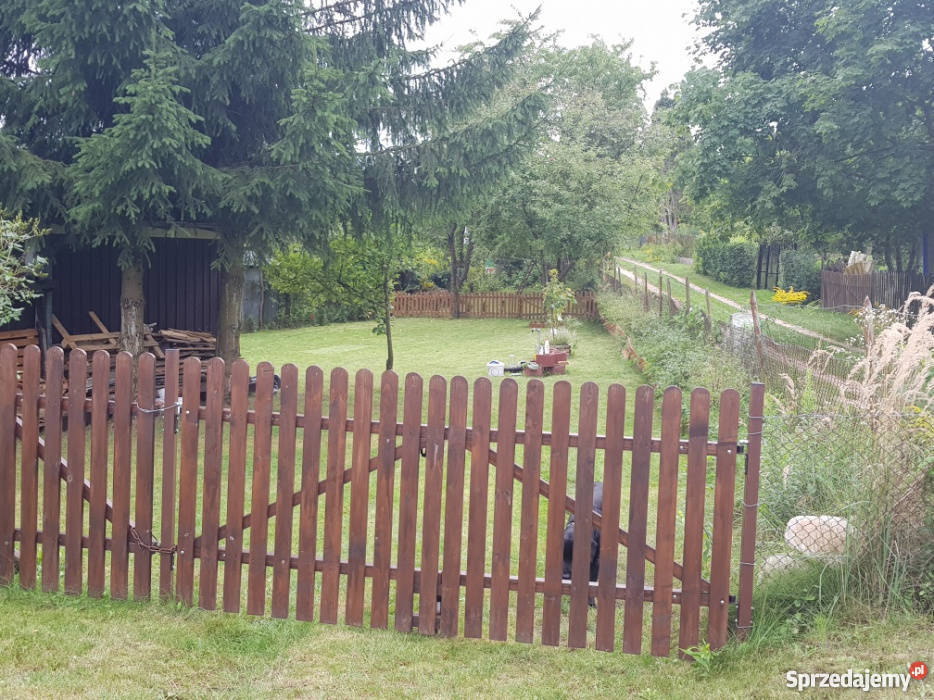 Ogródek działkowy Zarzecze w Mykach