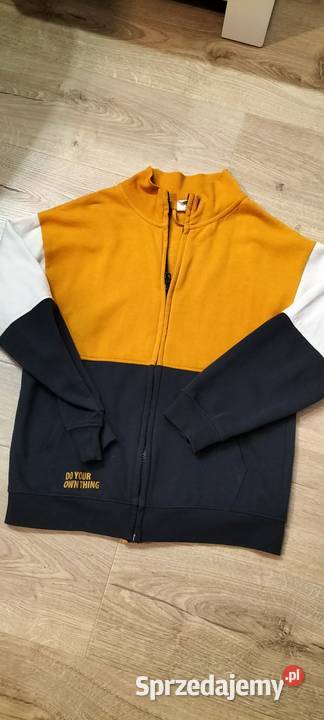 Bluzy kujawsko-pomorskie Grudziądz