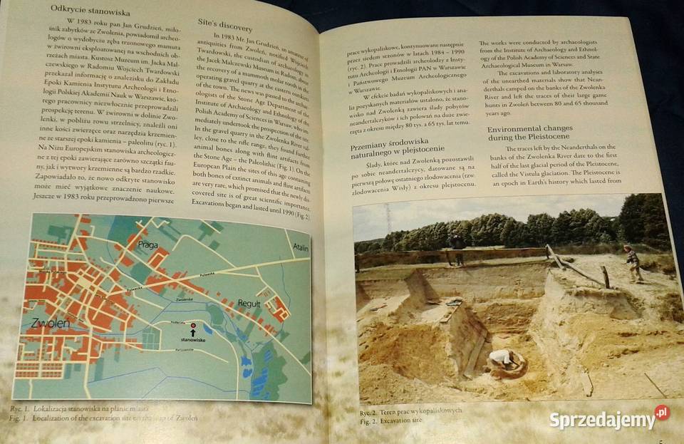 Zwoleńscy łowcy z epoki kamienia Elżbieta