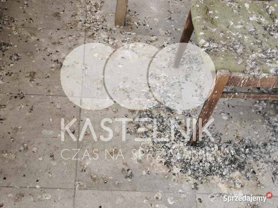Sprzątanie gołębiach Chorzów Kastelnik mycie śląskie