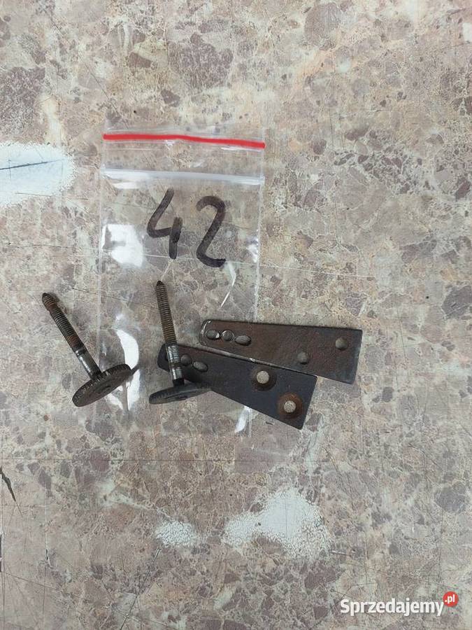 42 Pionizery pionizatory stabilizatory GB Becker pomorskie sprzedam