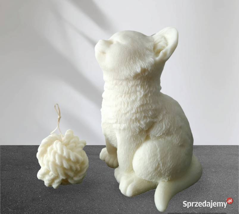 Uroczy kot Duża świeca sojowa Zestaw 2 Naturalna Warszawa