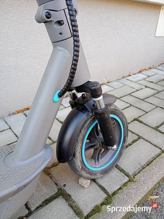 Hulajnoga Motus Scooty 10 plus Rzeszów