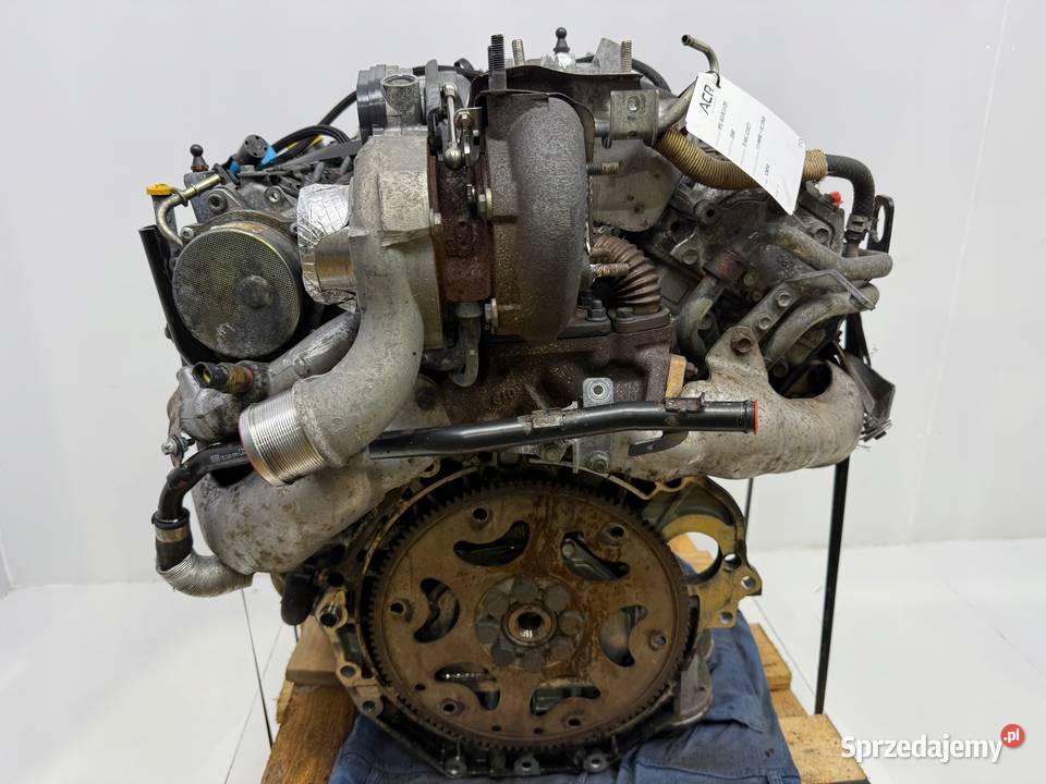 SILNIK Z30DT Opel Signum Vectra C 30 CDTI V6 184 osobowe Chełm sprzedam