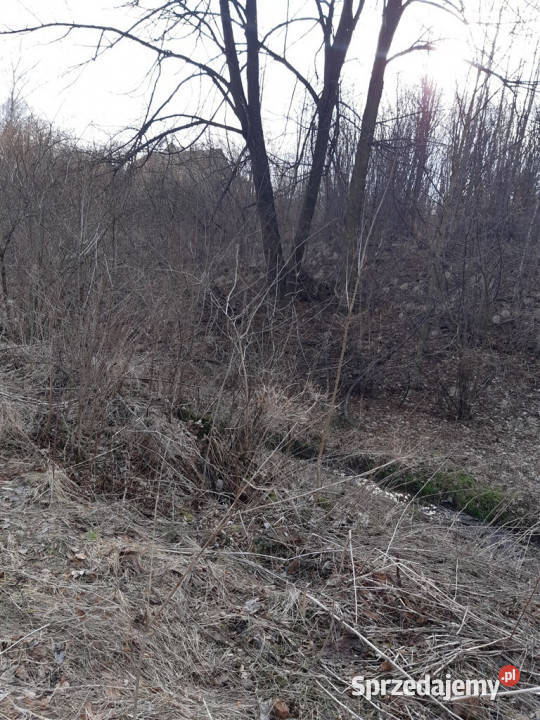 Grunt Niedźwiedzica