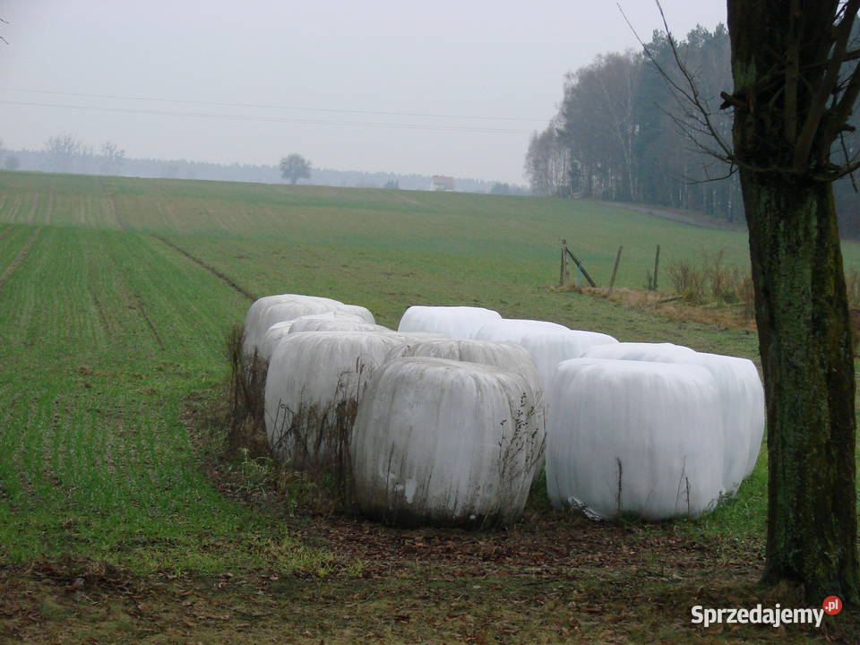 sianokiszonka Oborniki sprzedam